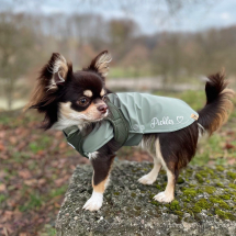 Chihuahua Bekleidung,Hundebekleidung,Softshell,Nalas-Faashion,Nalas Fashion,Regenschutz für Hunde