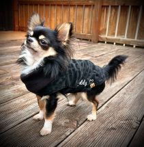Chihuahua,Hundemantel,Hundebekleidung,Limited Edition Tia Personalisiert