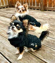Chihuahua,Hundemantel,Hundebekleidung,Limited Edition Tia Personalisiert