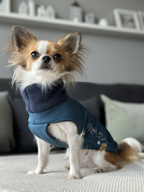 Nala trägt einen Shofshellmantel für Hunde in der Farbe Ocean Blue