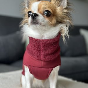 Nala trägt einen Softshellmantel für Hunde in der Farbe Ruby Red