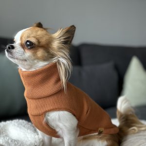 Hundepullover Fox 2.0 Waffeljersey im Hals- und Bauchbereich