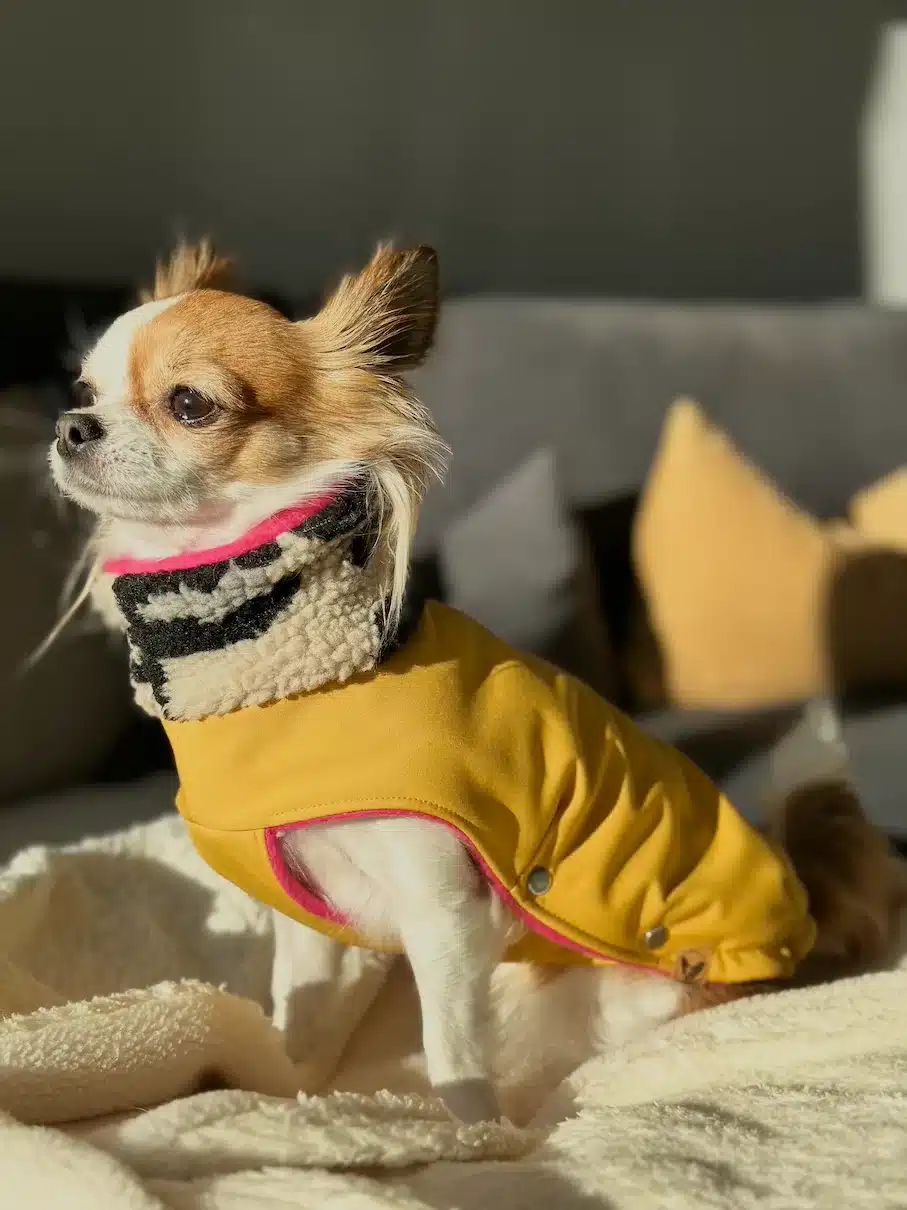 Sunny Lollipop Softshellmantel für Hunde Hundemantel